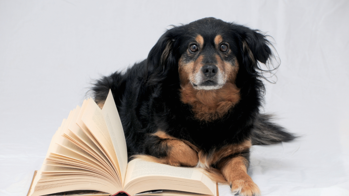 Recommended Reading