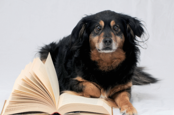 Recommended Reading